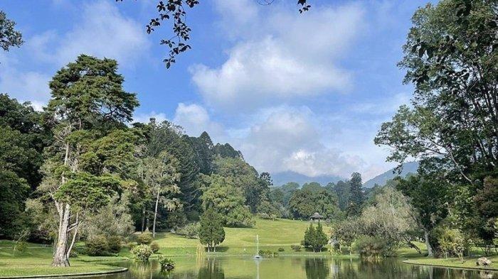 Menjelajahi Wisata Alam Di Kebun Raya Bogor Tangerang Kabar Tangerang 4508